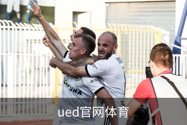 ued官网体育公司简介